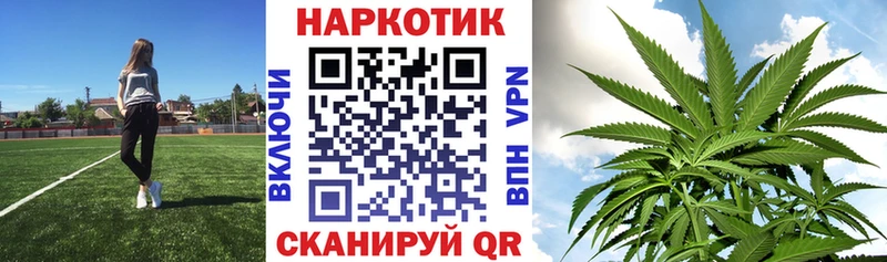 Где продают наркотики Гаджиево mega онион  Alpha PVP  Амфетамин  Псилоцибиновые грибы  Мефедрон  Гашиш 