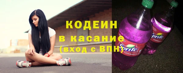 хмурый Абаза