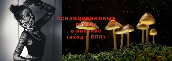 хмурый Абаза