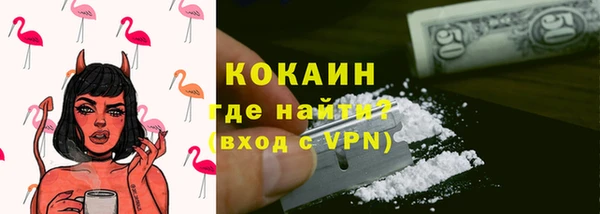 хмурый Абаза