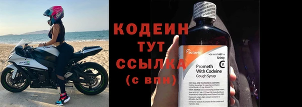 хмурый Абаза