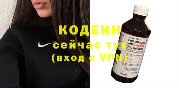 хмурый Абаза