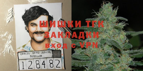 хмурый Абаза
