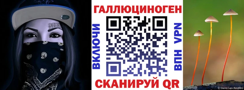 Псилоцибиновые грибы прущие грибы  что такое наркотик  Гаджиево 